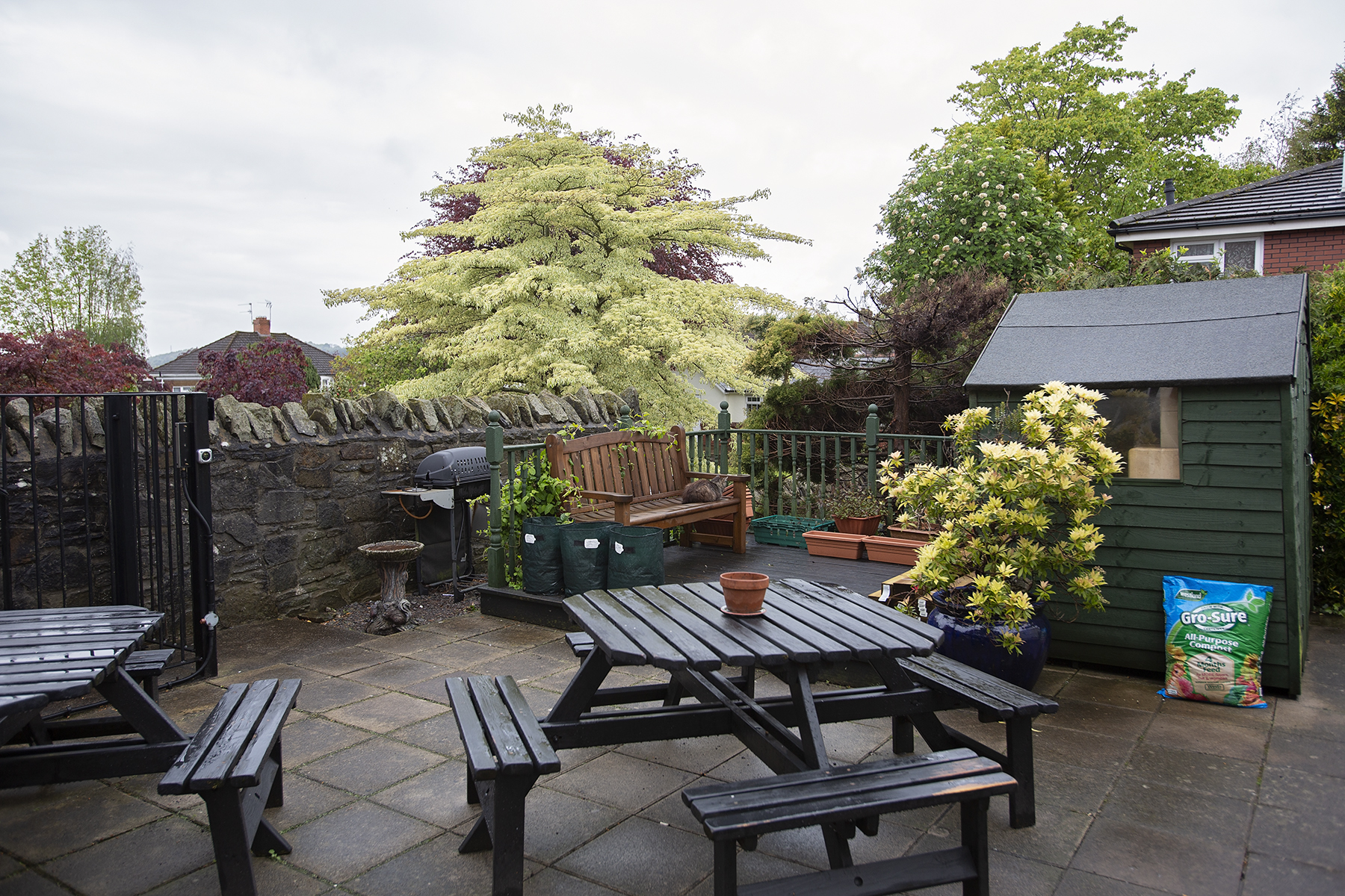 Garden at Gwynfa Care Home